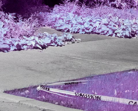 iNFRARED PRINTS