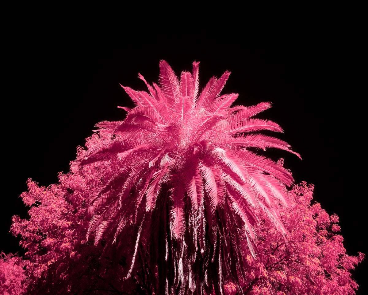 iNFRARED PRINT #3