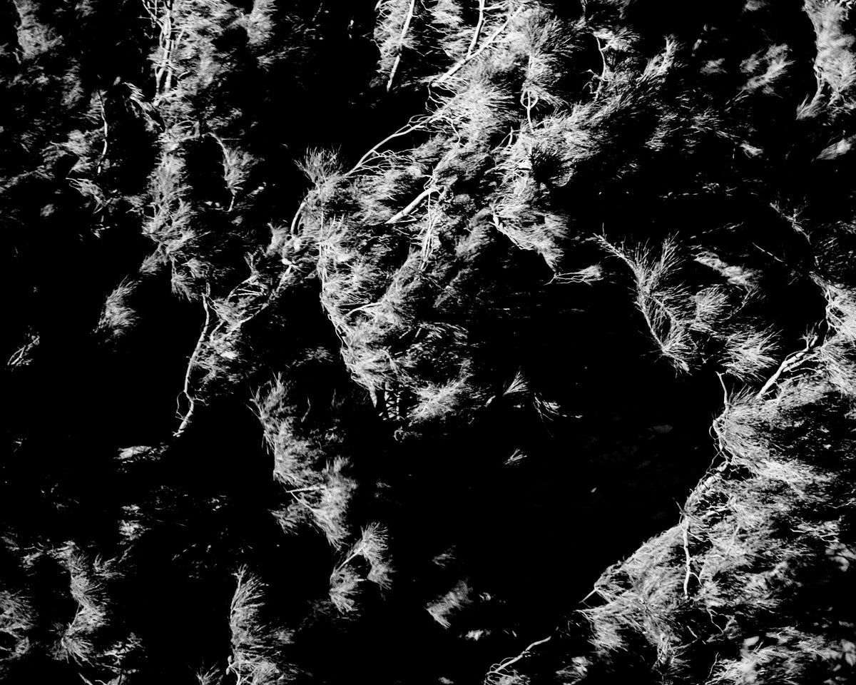 iNFRARED PRINT #4